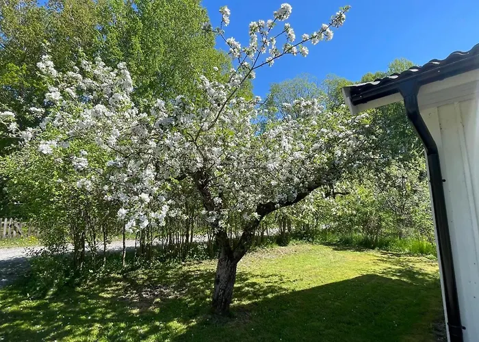 Modernt Gaesthus Med Tva Sovrum Och Baeddsoffa